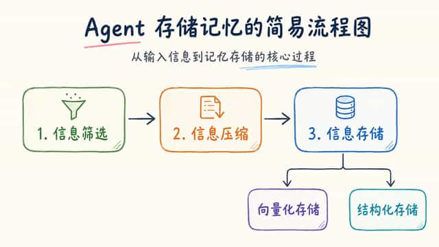 记忆怎么“存”？